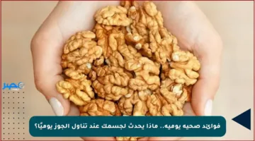 فوائد صحية يومية.. ماذا يحدث لجسمك عند تناول الجوز يوميًا؟